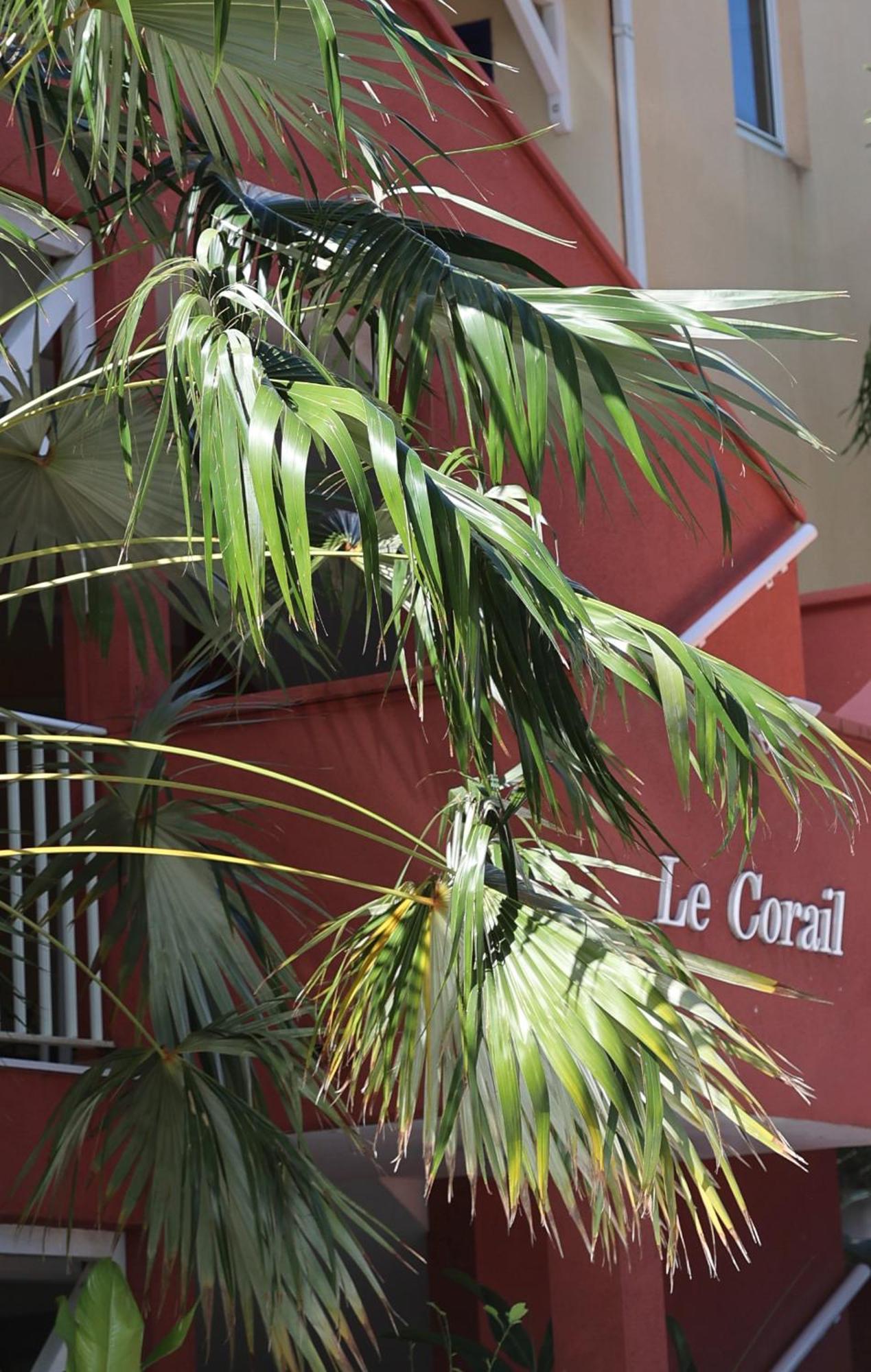 Appartamento Le Coco Family Le Gosier  Esterno foto